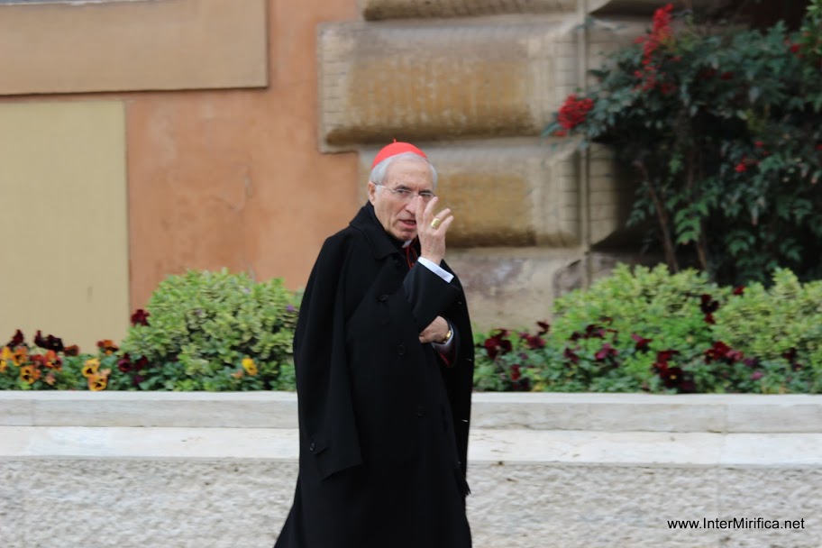 Orar por el Papa, orar por la Iglesia: responsabilidad urgente en esta hora providencial de su historia